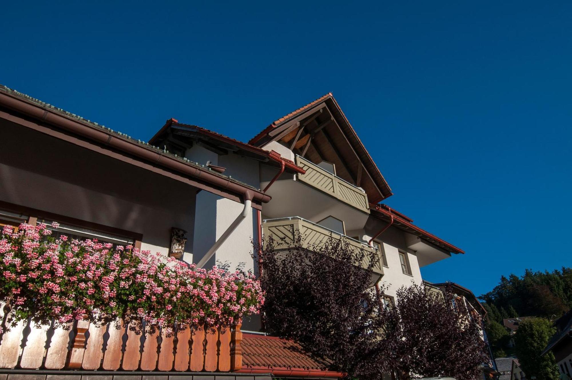 Apartment 06 - Ferienresidenz Roseneck, 2 Schlafzimmer, Mit Schwimmbad In Todtnauberg Bei Feldberg Exterior foto