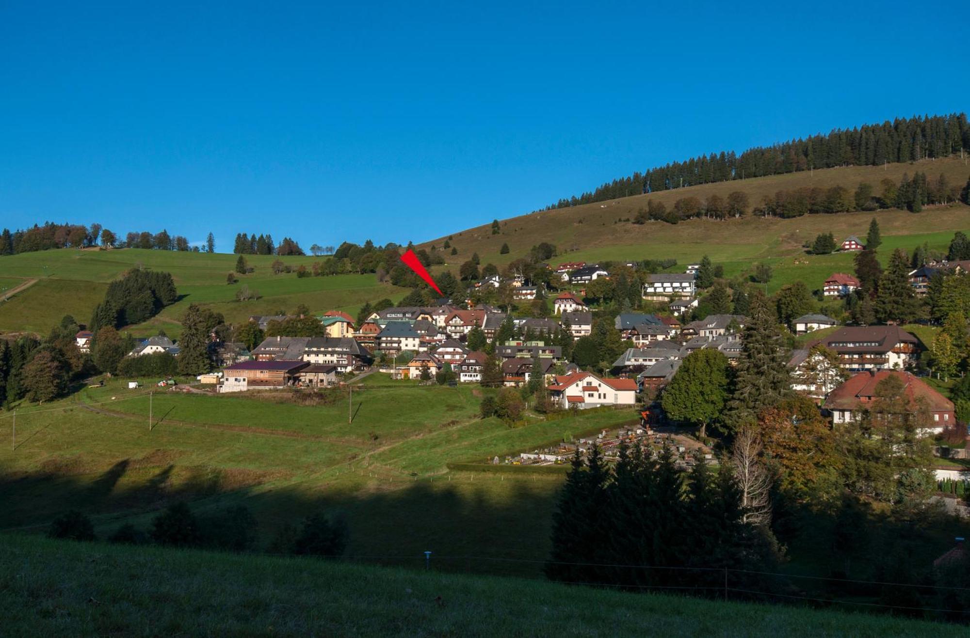 Apartment 06 - Ferienresidenz Roseneck, 2 Schlafzimmer, Mit Schwimmbad In Todtnauberg Bei Feldberg Exterior foto